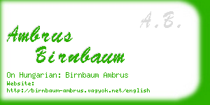 ambrus birnbaum business card